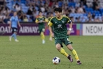 记者:朴镇燮参加世界杯,浙江队将获得国际足联的补偿金